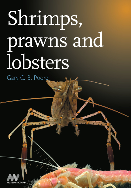 SHRIMPS, PRAWNS AND LOBSTERS