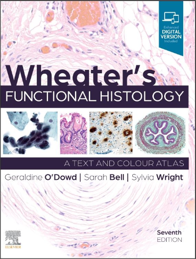 WHEATER&#39;S FUNCTIONAL HISTOLOGY 7TH EDITION