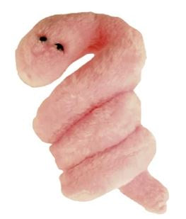 POX (SYPHILIS) GIANT MICROBE