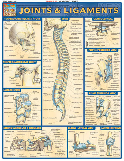 JOINTS & LIGAMENTS - Charles Darwin University Bookshop
