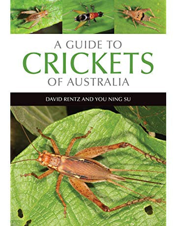 A GUIDE TO CRICKETS OF AUSTRALIA