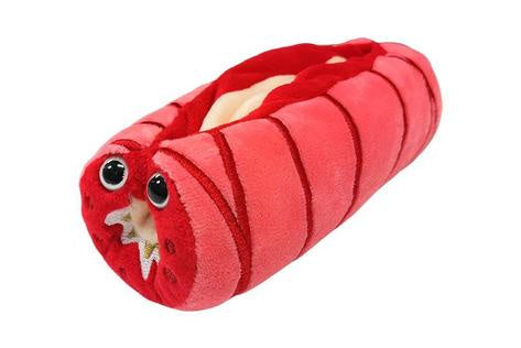 ASTHMA GIANT MICROBE