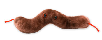 DIARRHEA GIANT MICROBE