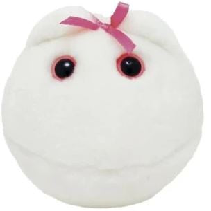 EGG CELL GIANT MICROBE