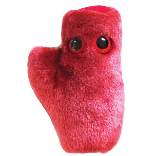 HEART CELL GIANT MICROBE