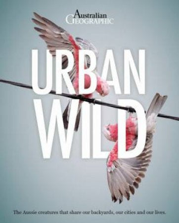 URBAN WILD