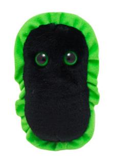 GANGRENE GIANT MICROBE