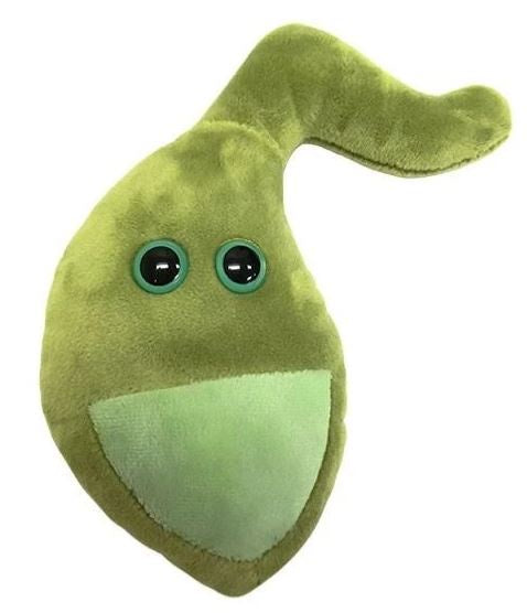 GALLBLADDER GIANT MICROBES