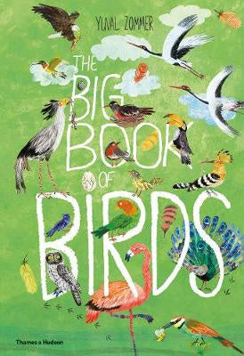 THE BIG BOOK OF BIRDS