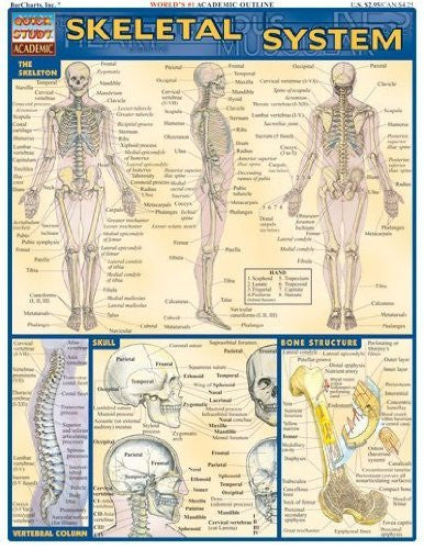 SKELETAL SYSTEM - Charles Darwin University Bookshop
