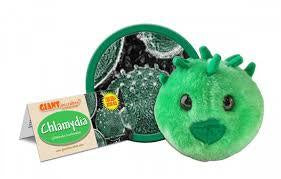 CHLAMYDIA GIANT MICROBE