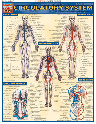 CIRCULATORY SYSTEM - Charles Darwin University Bookshop
