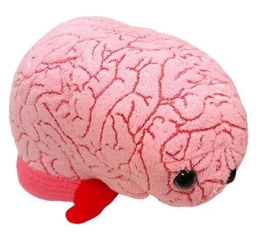BRAIN ORGAN GIANT MICROBE