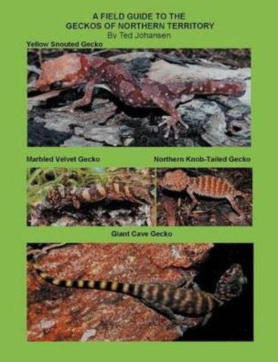 A FIELD GUIDE TO THE GECKOS OF NORTHERN TERRITORY