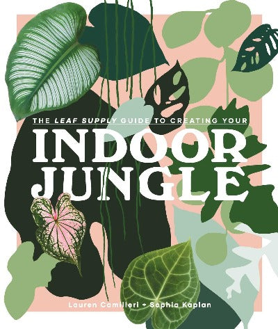 LEAF SUPPLY GUIDE TO CREATING YOUR INDOOR JUNGLE