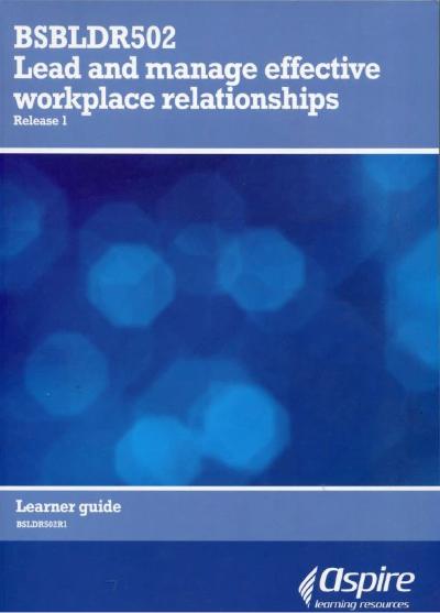 BSBLDR502 LEAD AND MANAGE EFFECTIVE WORKPLACE RELATIONSHIPS