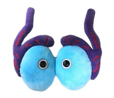 TESTICLES GIANT MICROBE PLUSHIES