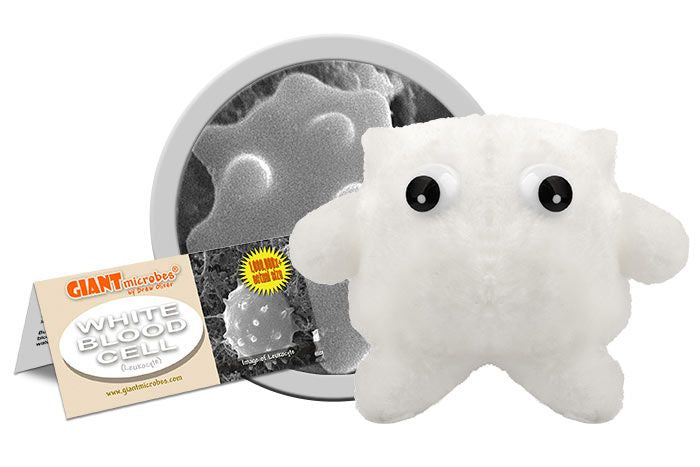 WHITE BLOOD  GIANT MICROBE
