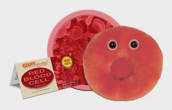 RED BLOOD CELL GIANT MICROBE